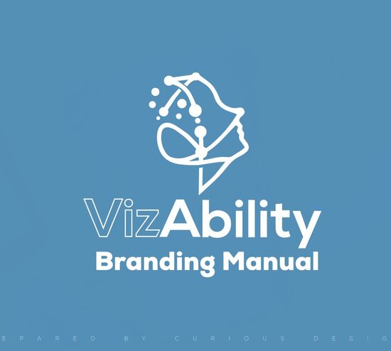 VizAbility brand identity manual, part of our branding work